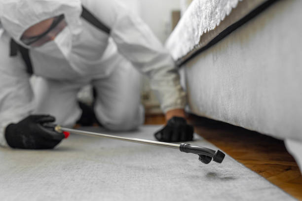 Professional Termite Control technician working in Watsessing, NJ