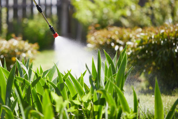 24/7 Emergency Termite Control experts in Watsessing, NJ