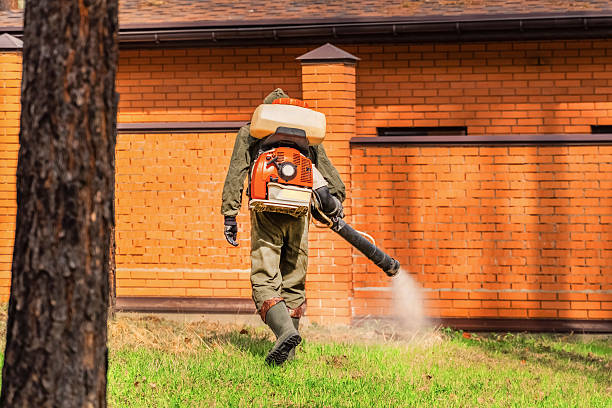 Top rated local Termite Control specialists in Watsessing, NJ
